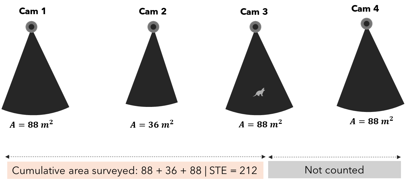 Space to Time Method