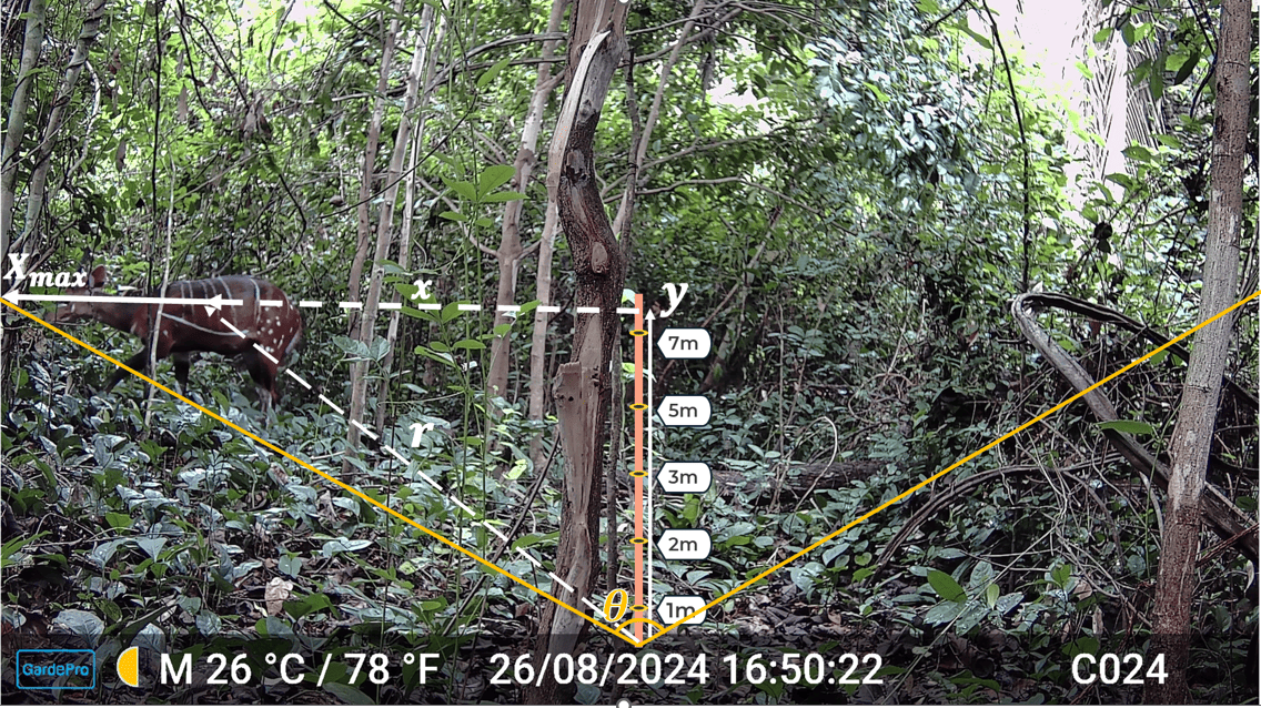 Camera-animal distance deduction