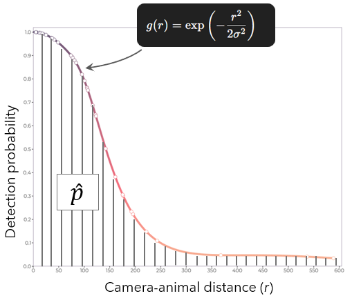 Detection function curve